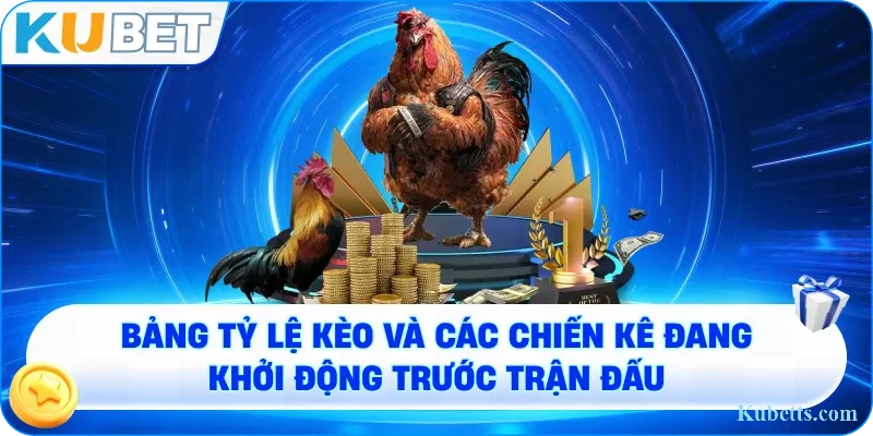 Đá Gà Online KUBET - Trải Nghiệm Kê Chiến Đẳng Cấp, Uy Tín Hàng Đầu 2 Bảng tỷ lệ kèo và các chiến kê đang khởi động trước trận đấu