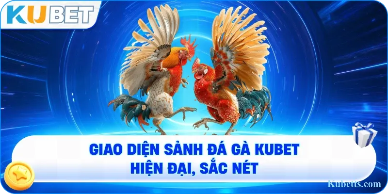 Đá Gà Online KUBET - Trải Nghiệm Kê Chiến Đẳng Cấp, Uy Tín Hàng Đầu 1 giao diện sảnh đá gà KUBET hiện đại, sắc nét